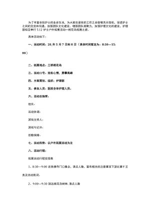 庆祝护士节活动方案3.docx