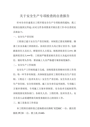 安全生产专项检查自查报告（3页）.docx