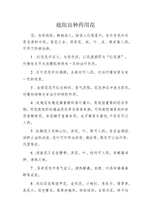 庭院宜种药用花.docx