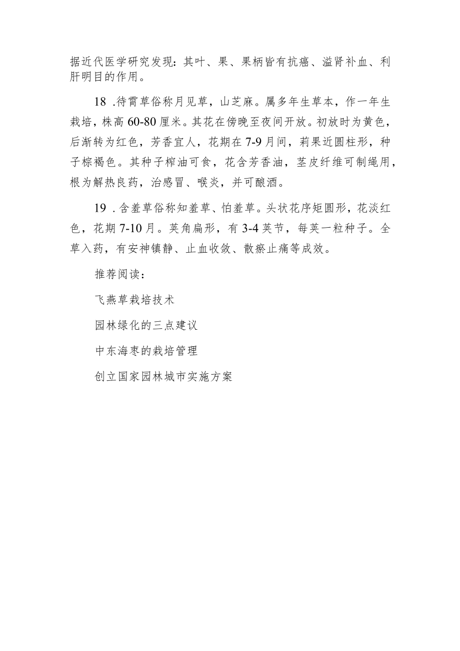 庭院宜种药用花.docx_第3页