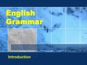 大学英语四级语法.ppt