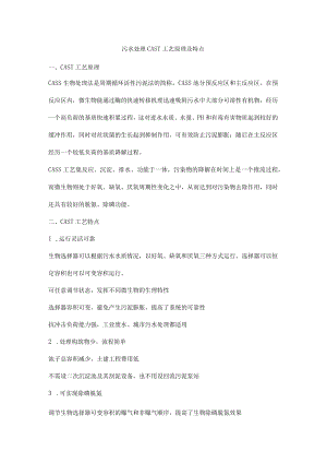 污水处理CAST工艺原理及特点.docx
