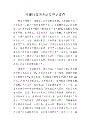 桂花的栽培方法及养护要点.docx