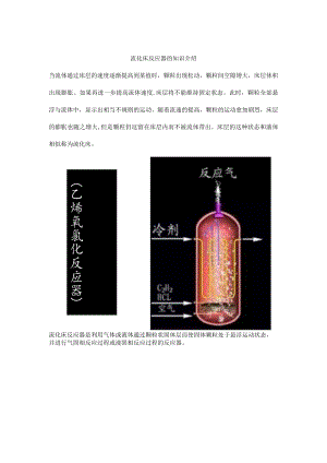 流化床反应器的知识介绍.docx