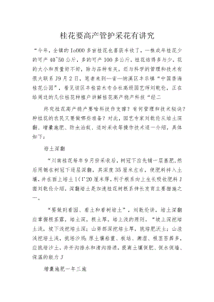 桂花要高产管护采花有讲究.docx