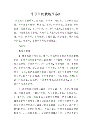 朱顶红的栽培及养护.docx