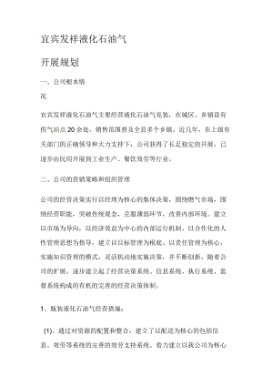 液化石油气有限大中型公司发展规划.docx