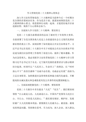 应急管理局执法大队负责人《学习贯彻党的二十大精神》心得体会 （汇编8份）.docx