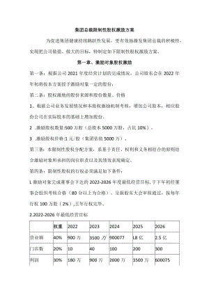 集团总裁限制性股权激励方案.docx