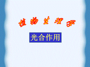 植物生理学光合作用.ppt