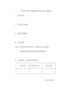 “”年度项目总结提纲.docx