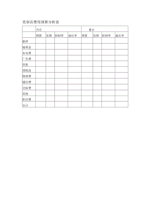 美容店费用预算分析表.docx