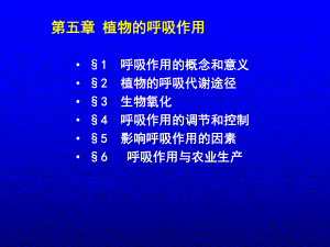 植物生理学—植物呼吸作用.ppt