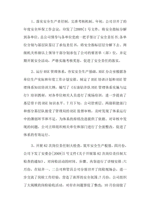 某企业2009年安全生产工作总结.docx