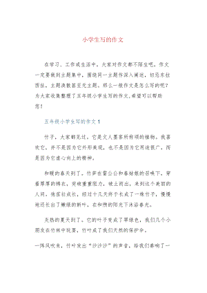 小学生写的作文.docx
