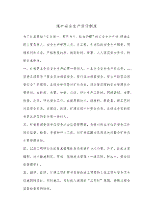 煤矿安全生产责任制度.docx