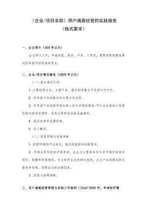 企业用户满意经营的实践报告格式要求.docx