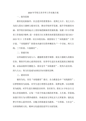 实验小学2023年五育并举工作实施方案.docx