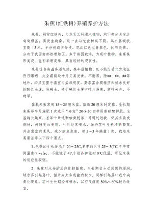 朱蕉(红铁树)养殖养护方法.docx