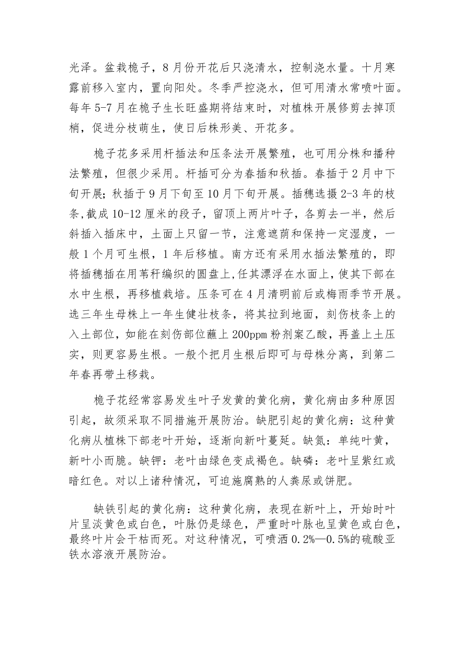 栀子花的养护管理.docx_第2页