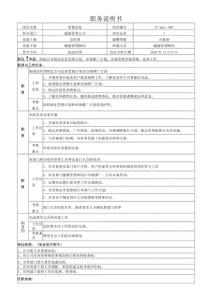 3营销总监岗位说明书.docx