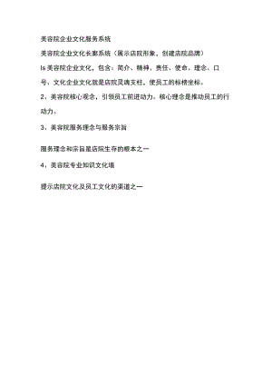 美容院企业文化服务系统.docx