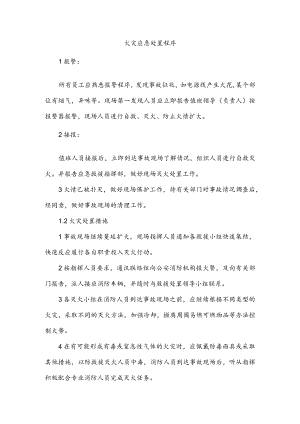 火灾应急处置程序.docx