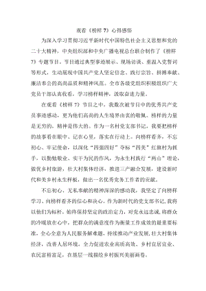 国企单位领导干部观看《榜样7》个人心得感悟合计6份.docx