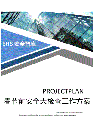 2023春节前安全生产大检查活动方案（14页）.docx