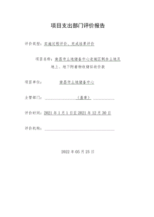 项目支出部门评价报告.docx