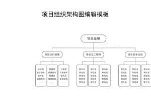 工程项目组织架构图.docx