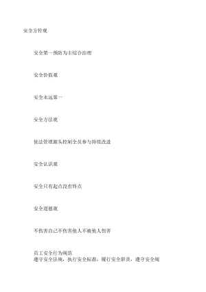 某公司安全文化理念.docx