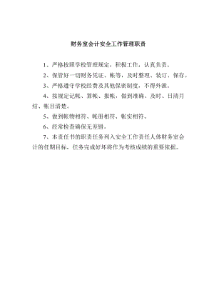 财务室会计安全工作管理职责.docx