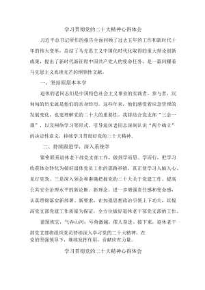 应急管理综合科负责人《学习贯彻党的二十大精神》心得体会 （4份）.docx