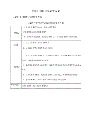 热电厂应急处置方案.docx