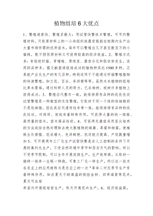 植物组培6大优点.docx