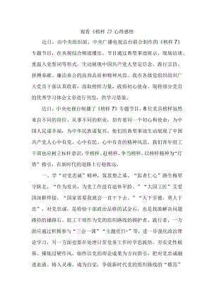 驻村书记观看《榜样7》心得感悟合辑5篇.docx