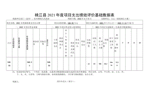 桃江县2021年度项目支出绩效评价基础数据表.docx