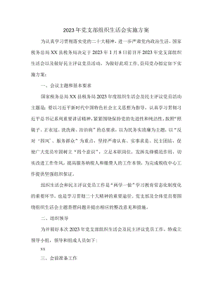 2023年超市党支部组织生活会实施方案2篇.docx