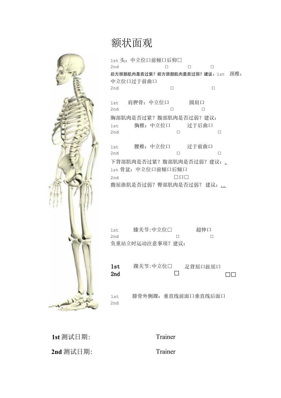 体位评估矢状观.docx_第1页