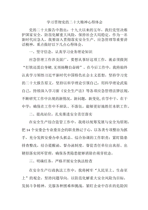 应急管理局安监干部学习贯彻党的二十大精神心得体会三篇.docx