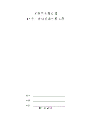 某照明有限公司12号厂房钻孔灌注桩工程.docx
