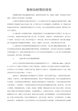 梨树幼树期的修剪.docx