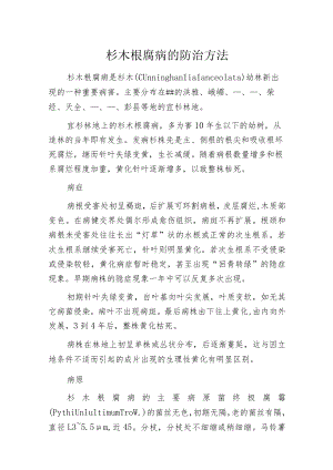 杉木根腐病的防治方法.docx