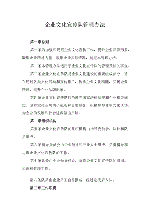 企业文化宣传队管理办法.docx