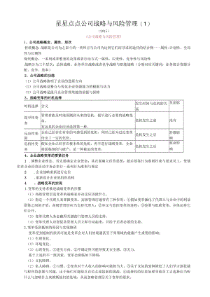 星星点点公司战略与风险管理.docx