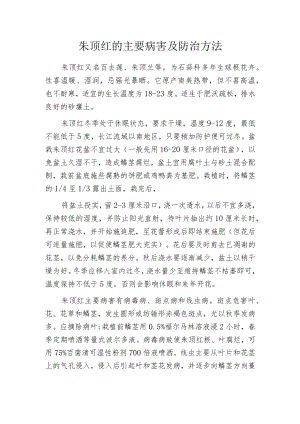 朱顶红的主要病害及防治方法.docx