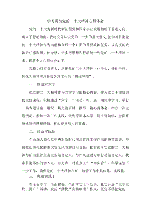 应急管理局副局长学习贯彻党的二十大精神心得体会三篇.docx