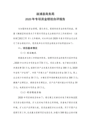 溆浦县商务局2020年专项资金绩效自评报告.docx