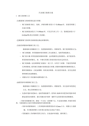 汽水阀门检修方案.docx